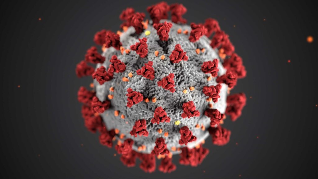 Abbildung Virus